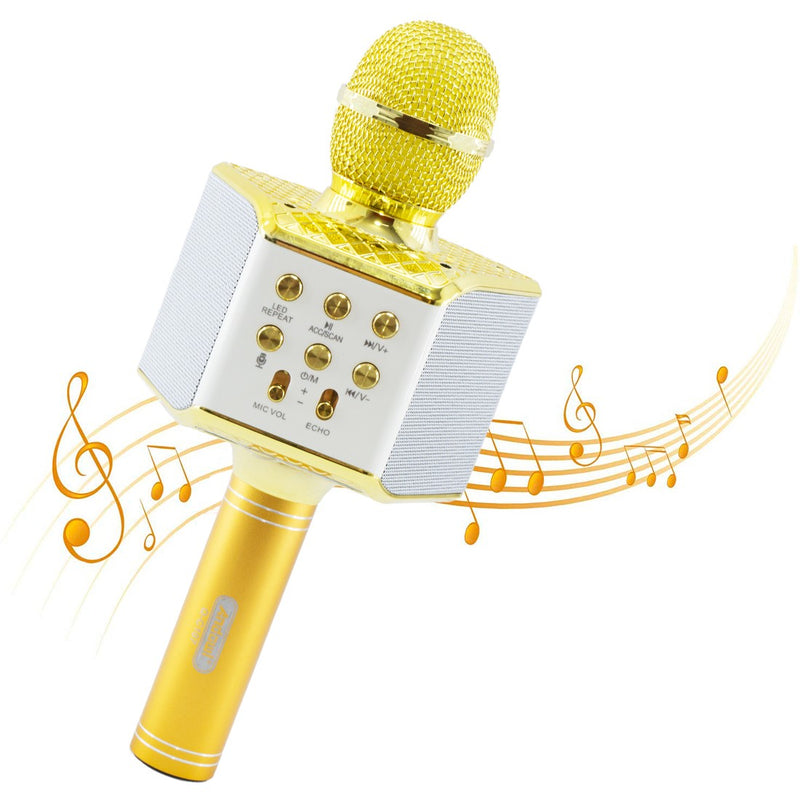 Microfono Karaoke Wireless con Luci Led Registra Canta e Riproduce Musica Oro