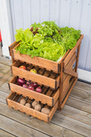 Cassettiera per Orto 50x54x60 cm in Legno