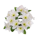 Set 6 Giro Candela con Narcisi Artificiali 