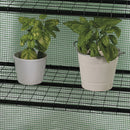 Serra da Balcone a 3 Ripiani 69x48x125 cm Telaio in Plastica e Struttura in Acciaio Verde      