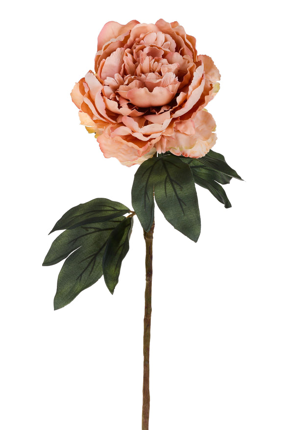 Set 4 Künstliche Pfingstrosen in Antikoptik einzeln Höhe 72 cm sconto