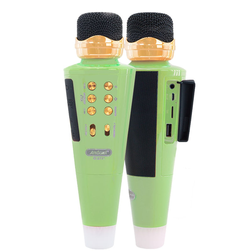 Microfono Karaoke Wireless Speaker Musica Bluetooth con USB per Feste Verde