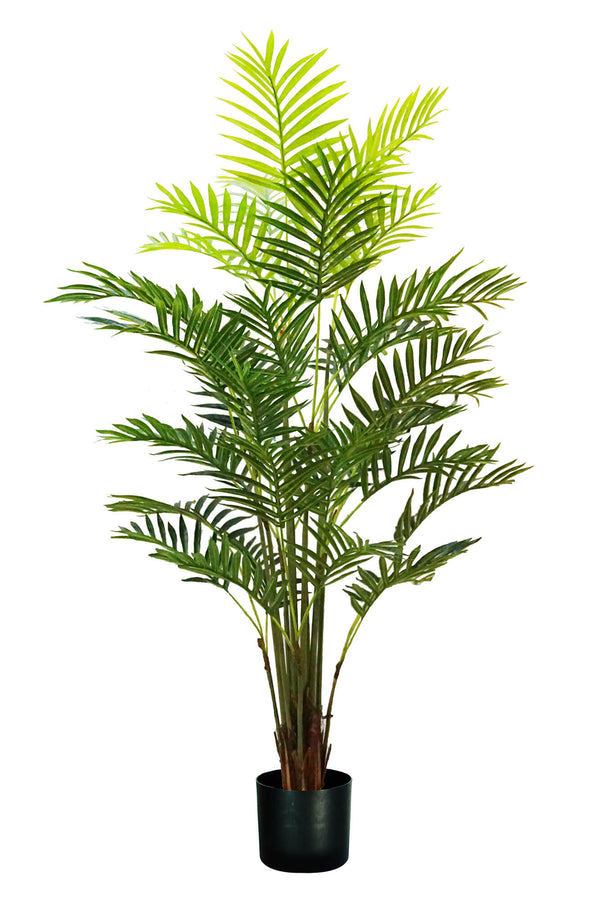 sconto Kunstpflanze Areca-Palme H160 cm mit grünem Topf