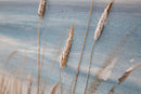 Dipinto su Tela Beach 100x3,8x100 cm in Legno di Pino e Canvas Multicolor