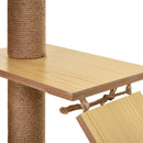 Albero Tiragraffi per Gatti 60x40x130 cm con Casetta Lettini Amaca e Pallina in Legno Poliestere e Sisal Beige      