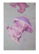 Stampa su Tela con Applicazioni Medusa 80x3,8x120 cm in Legno e canvas
