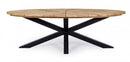 Tavolo 240x110x77h cm Palmdale Carbon