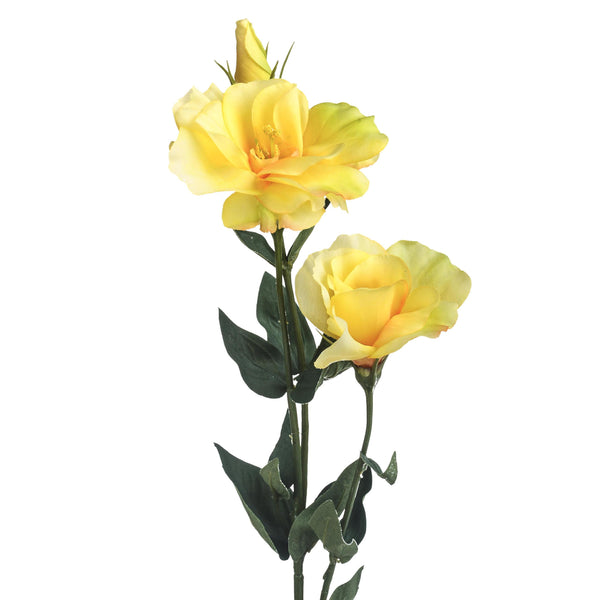 sconto Set 8 künstliche Lisianthus, bestehend aus 3 Blumen, Höhe 75 cm, gelb