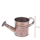 Set 6 Annaffiatoi Ø 10x105H cm 