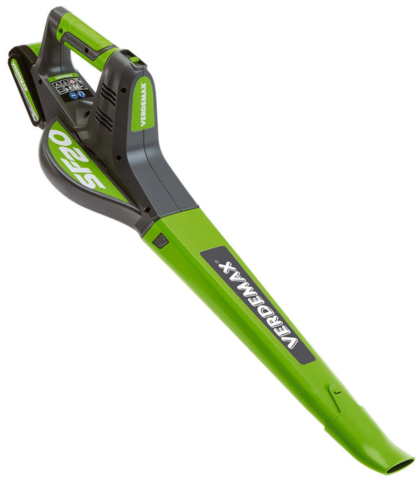 acquista 20V Rama SF20 Akkugebläse Grau und Grün