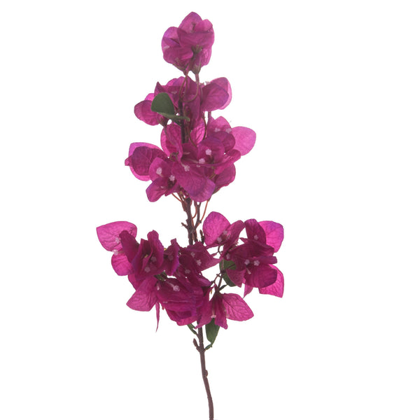 sconto Set mit 8 künstlichen Bougainvillea-Blumen, Höhe 80 cm
