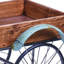 Modellino Bicicletta con Contenitore 113 cm