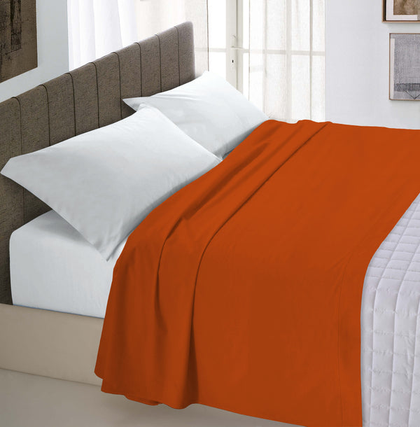 Deckblatt in einfarbiger Erde sconto