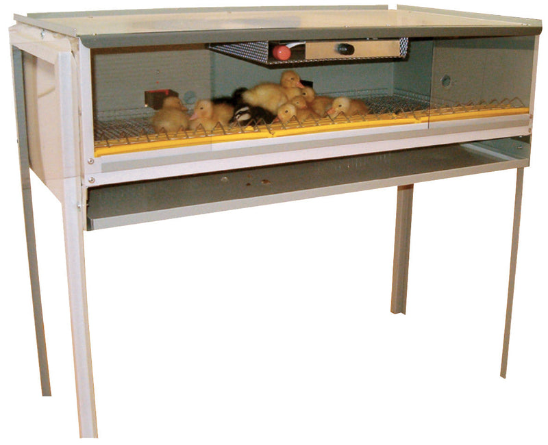 Gabbia Calda Allevatrice Artificiale per 60/70 Pulcini Fiem