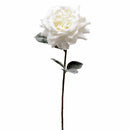 Set 6 Rose Single Ghiacciata H68 cm Bianco