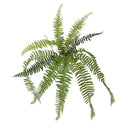 Set 3 Foglie Artificiali Felce Boston per 14 67 cm Ø 23 cm