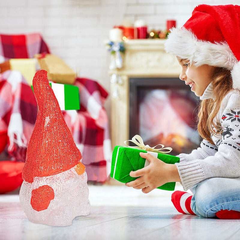 Gnomo Folletto Figura Acrilica Natalizia 24 LED Illuminazione Esterni ed Interni