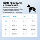 48 pezzi Pannolini per Cani Femmina Taglia M 48x35x1 cm con Fascia Elastica Regolabile Bianco      