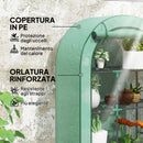 Serra a Parete a 4 Livelli 100x45x160 cm con Porta a Cerniera in Acciaio e PE Verde  