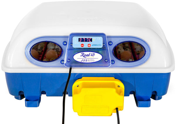 Borotto Real 49 Professioneller automatischer Eierinkubator sconto