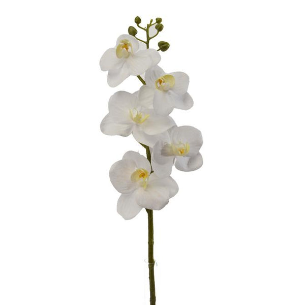 Set 8 künstliche Mini-Phalaenopsis, Höhe 43 cm, weiß sconto