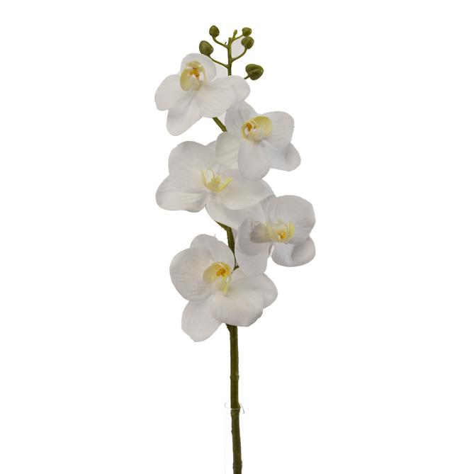Set 6 Mini Phalaenopsis Artificiali Altezza 43 cm Bianco