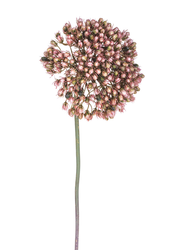 sconto Set 4 Kunstblumen Allium Höhe 65 cm Rosa