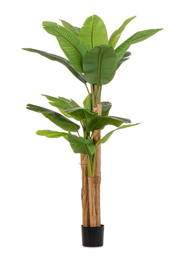 sconto Pianta Artificiale di Banano 115x120x200 cm in Plastica con Vaso Verde
