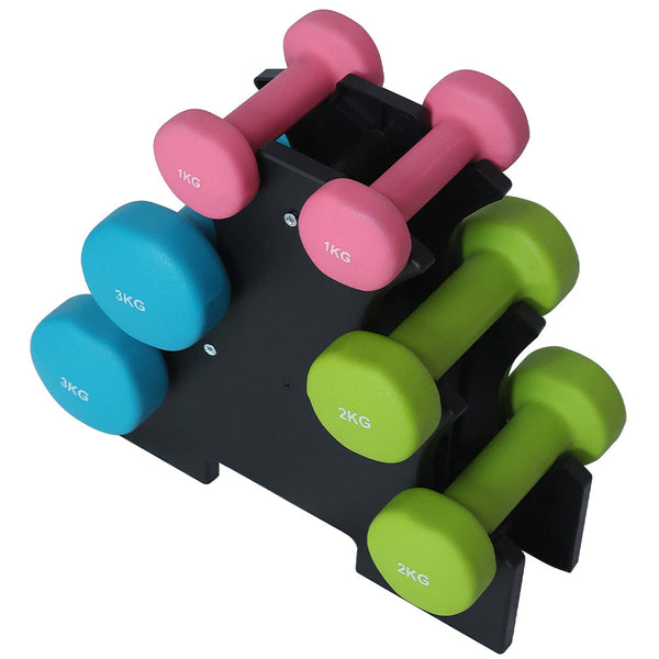 Set 6 Manubri Palestra con Stand Appoggio 2x1kg+2x2kg+2x3kg Pesi Sport Fitness online