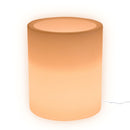 Vaso Luminoso da Esterno 35x42 cm In Polietilene Rose Led Bianco Caldo