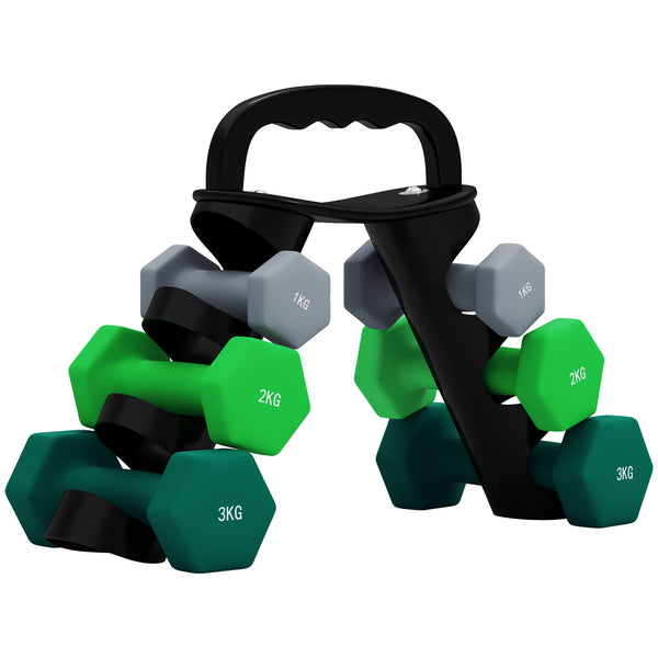online Set 6 Pesi Manubri con Supporto Coppie da 1-2-3 Kg in Metallo Verde e Nero