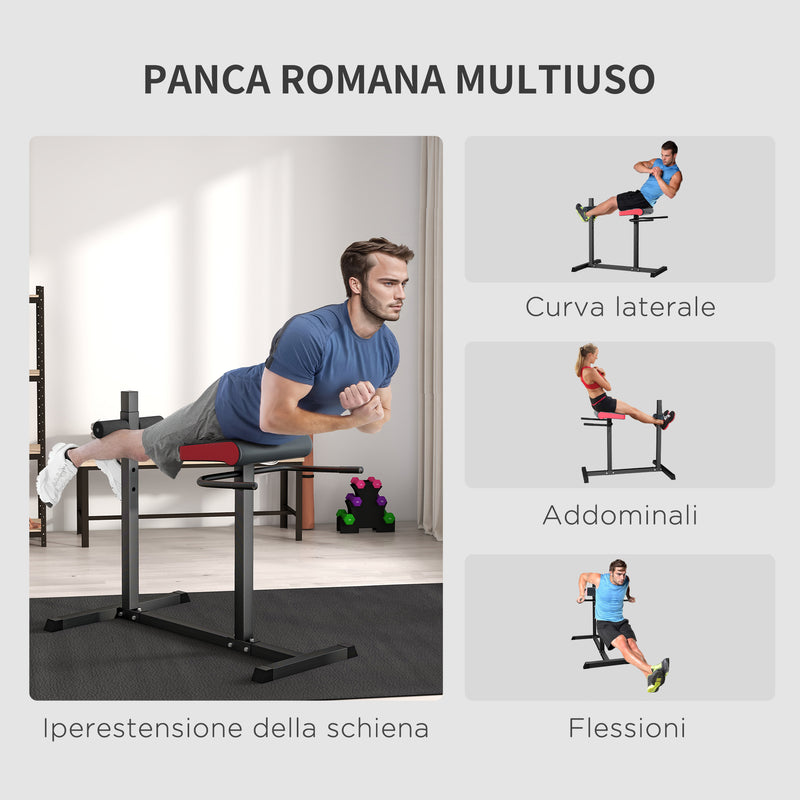 Sedia Romana Regolabile su 6 Posizioni 110x70x95 cm Nero  