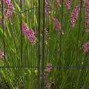 Recinzione Esterna a 4 Pannelli 348x110 cm con 8 Picchetti In Acciaio Nero  