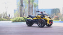 Mini Quad Elettrico per Bambini 3 Ruote 12V ATV 3.0 Verde