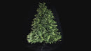 Künstlicher Weihnachtsbaum 180 cm 180 Äste Grün