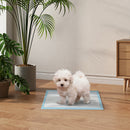 Set 100 Tappetini Assorbenti Traversine Igieniche 45x30 cm a 6 Strati 