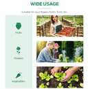 Serra da Giardino 120x60x60 cm con Copertura in PE Verde