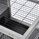 Conigliera 90x53x59 cm con Rampa e 4 Ruote in Legno Grigio  