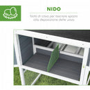 Pollaio da Giardino con Nido per Cova e Area Esterna 214x101x 91,5 cm Grigio  