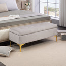 Panca Contenitore Fondo Letto 120x44x44,5cm con Tessuto Vellutato e Gambe Dorate Grigio Chiaro