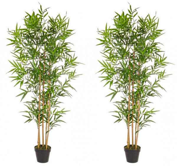 acquista Set 2 Piante Artificiali di Bamboo 70x70x155 cm in Plastica con Vasi Verde
