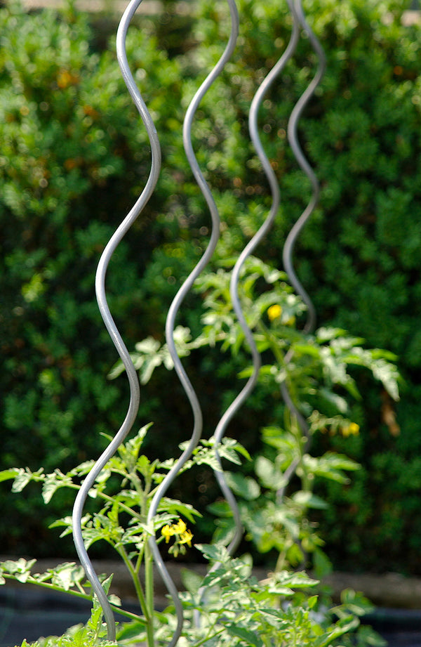 sconto Set mit 10 Spiralstützen für Tomatenpflanzen 180 cm aus Stahl