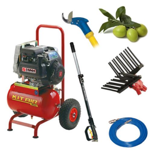 acquista Olivenbaum-Kit für die Olivenernte und den Olivenschnitt T250 Hobby Zanon Olivenschüttler 