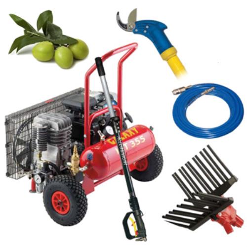 acquista Zanon T355 Professionelles Kit für die Olivenernte und den Olivenschnitt