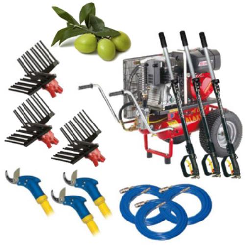 Zanon T615 Triple Professional Kit für die Olivenernte und den Olivenschnitt  acquista