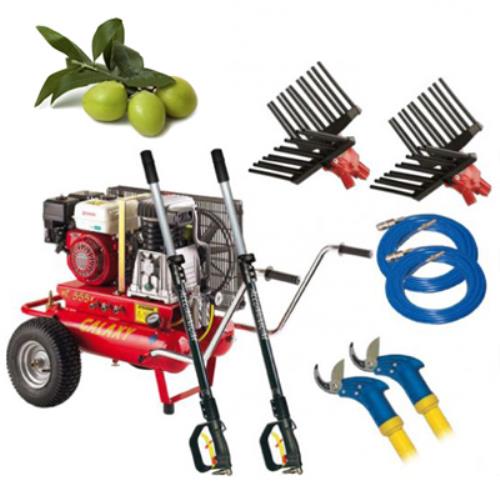 Zanon T555 Professionelles Benzin-Kit für die Olivenernte und den Olivenschnitt  online