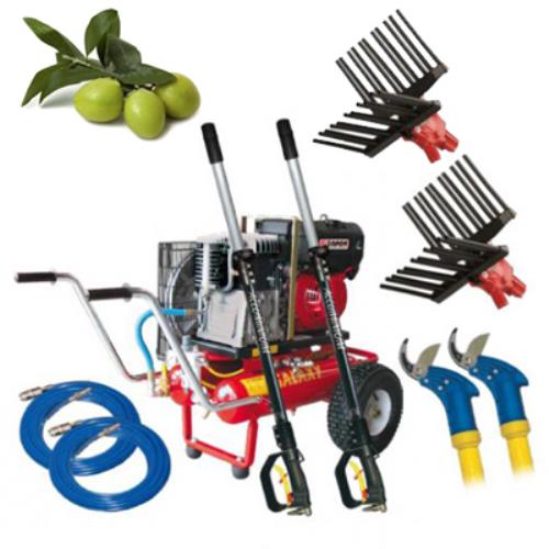 Zanon T555 Double Diesel Professional Kit für die Olivenernte und den Olivenschnitt  acquista