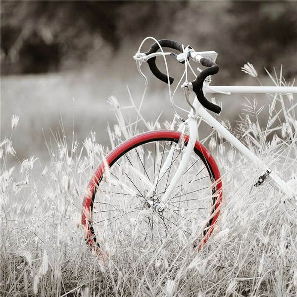 online Quadro Dipinto con Bicicletta Rossa 60x60 cm in Tela Multicolor