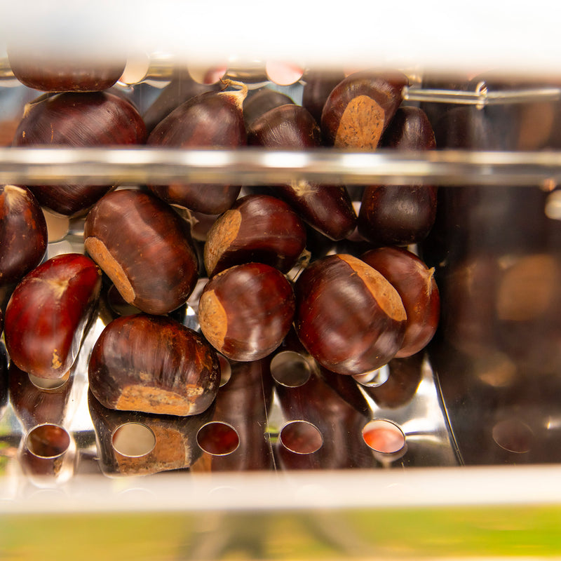 Tostacastagne Caldarroste a Batteria 42x20x21cm in Acciaio Inox-4