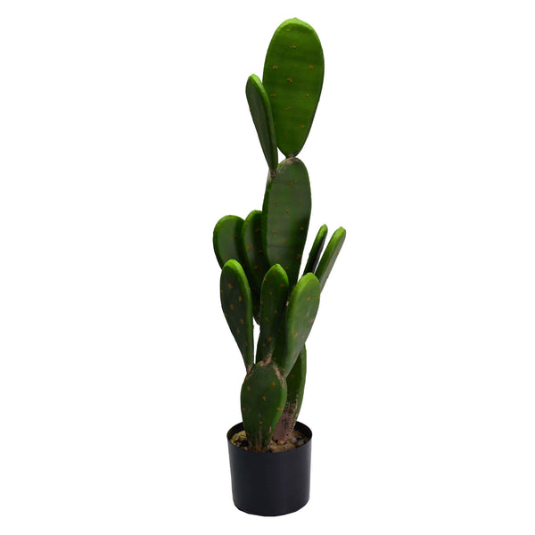 Kaktuspflanze mit rundem Topf cm Ø14xh84 prezzo